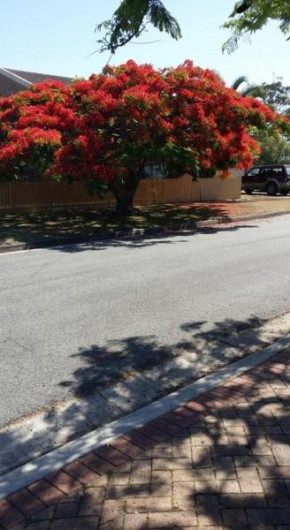 Baringa Bed & Breakfast Redcliffe